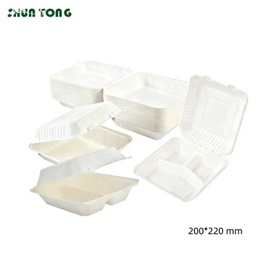 Boîte à clapet en bagasse